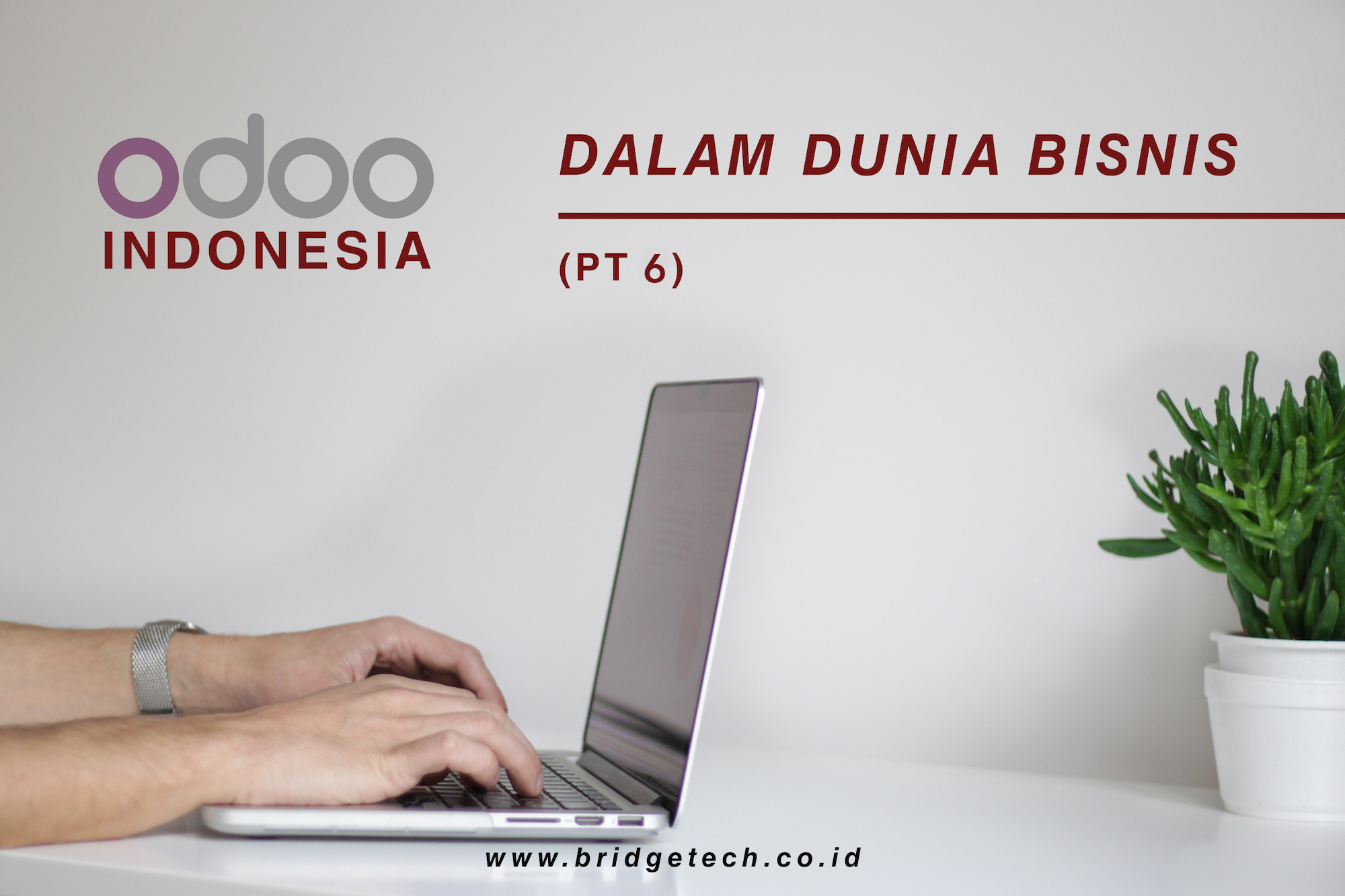Odoo Indonesia dalam dunia bisnis (Pt.6)